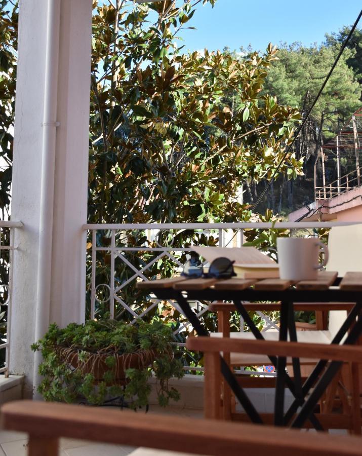 Magnolia House In Ioannina Apartment Exterior foto